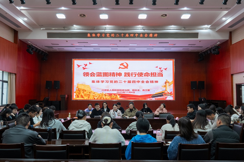 领会蓝图精神 践行使命担当—— 江岸区检察院举办青年干警专题学习活动